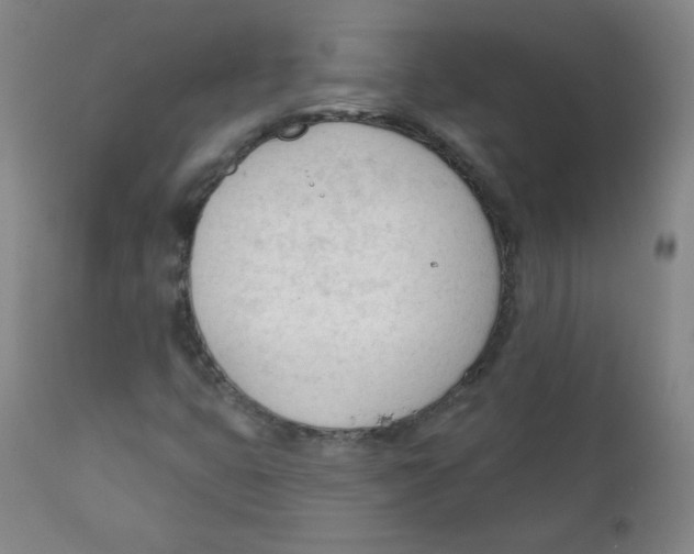 X0000111611399200908141242
