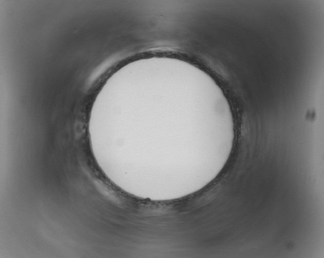 X0000111611400200908141242