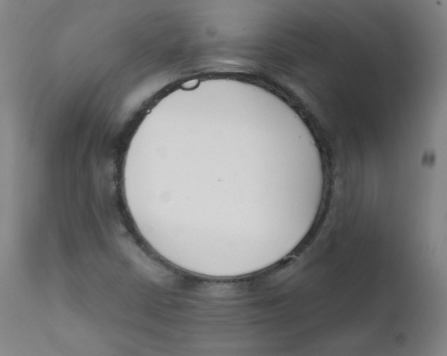 X0000111611402200908141243