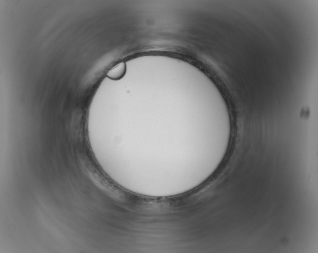 X0000111611403200908141243