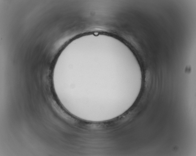 X0000111611404200908141243