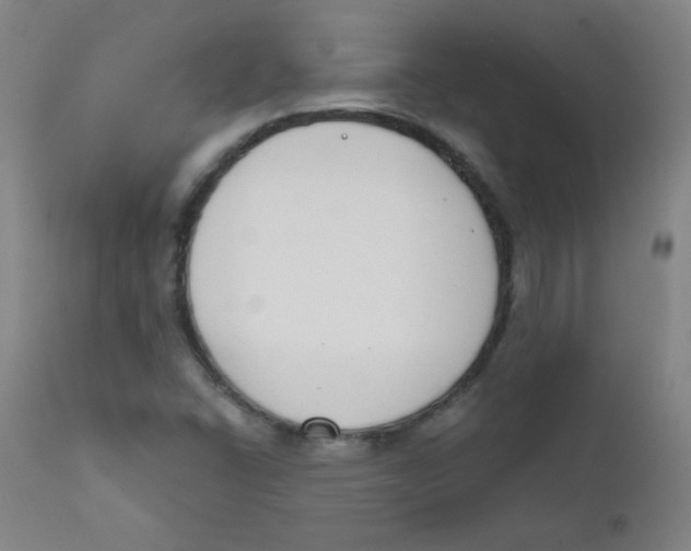X0000111611406200908141243
