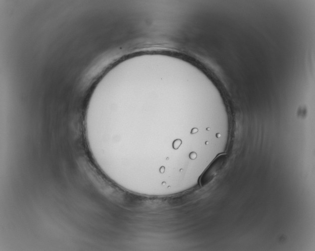 X0000111611407200908141243