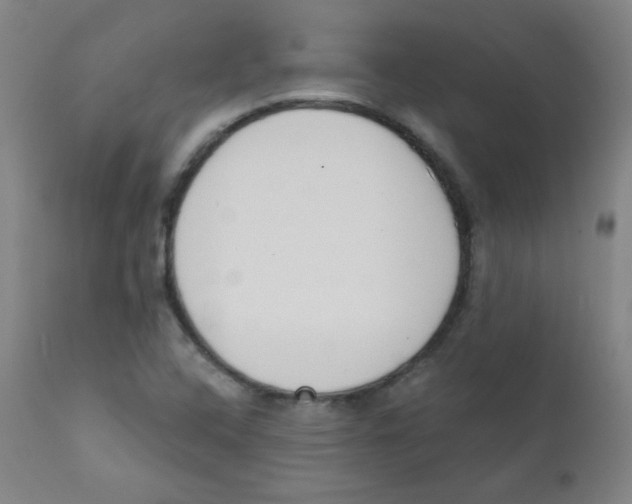 X0000111611408200908141243