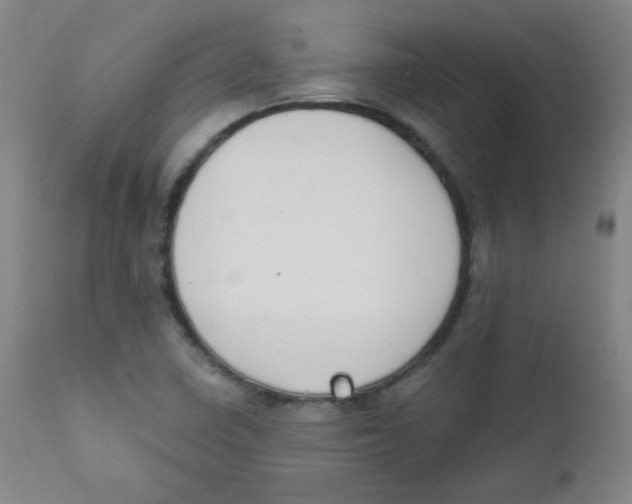 X0000111611410200908141243