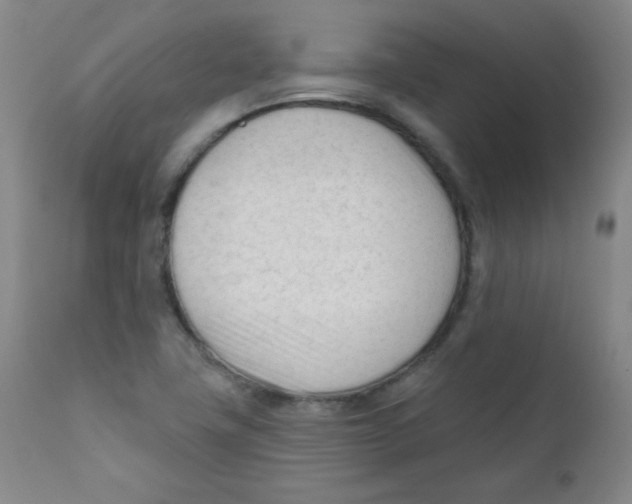 X0000111611411200908141243