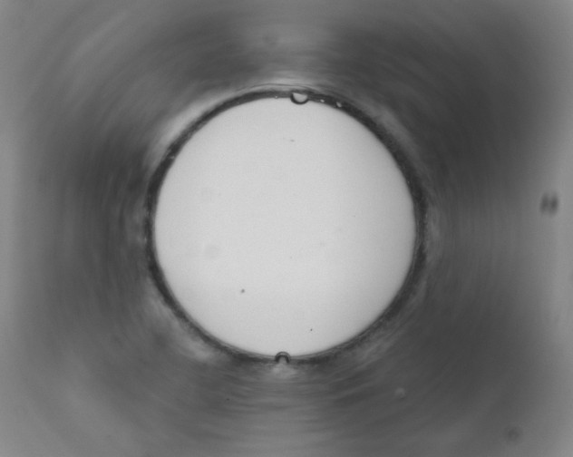 X0000111611412200908141243