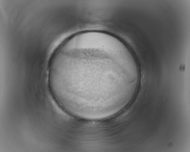 X0000111611414200908141243