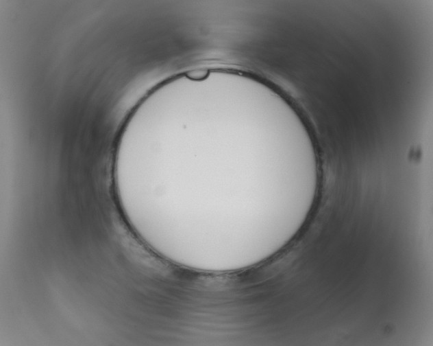 X0000111611415200908141243