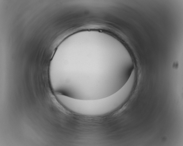 X0000111611417200908141243