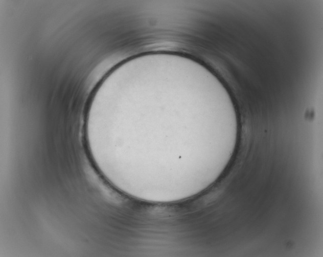 X0000111611418200908141243