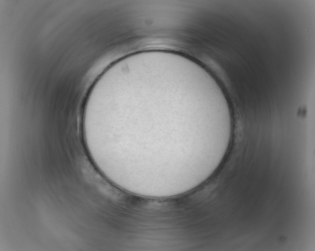 X0000111611419200908141243