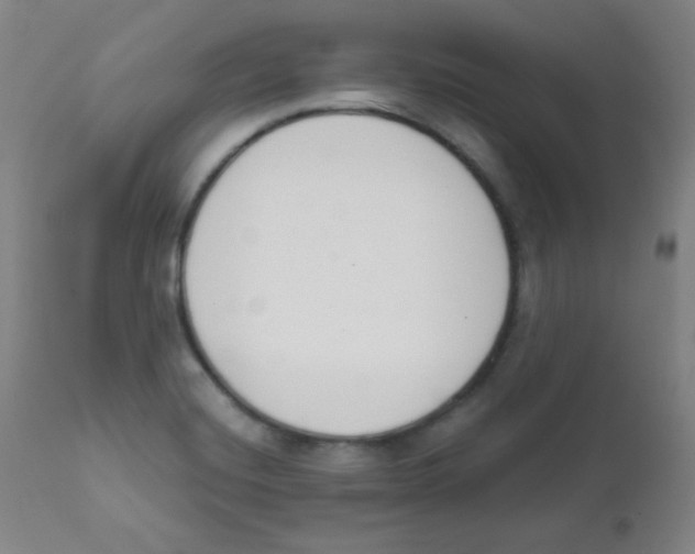 X0000111611420200908141243