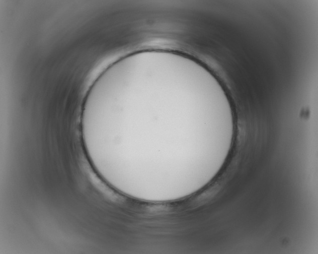 X0000111611421200908141243