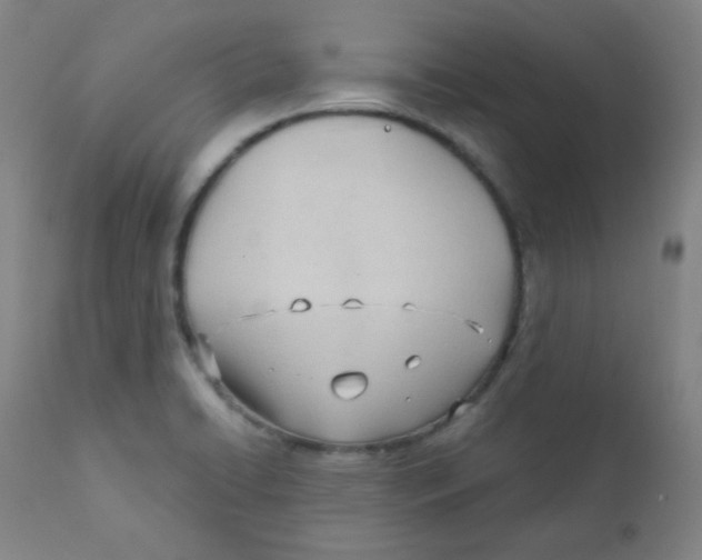 X0000111611422200908141243