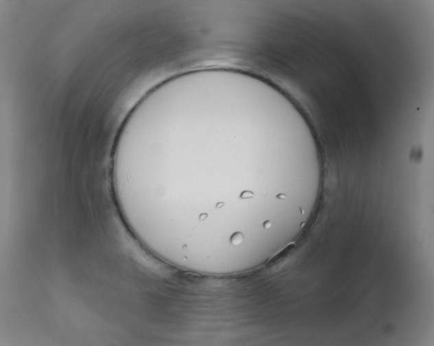 X0000111611423200908141243