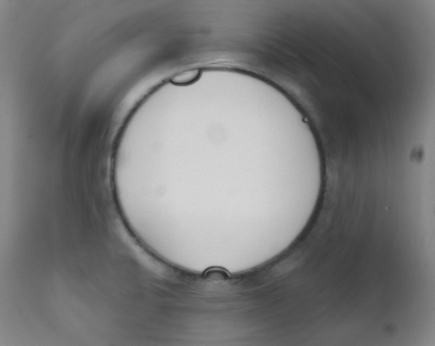 X0000111611424200908141243