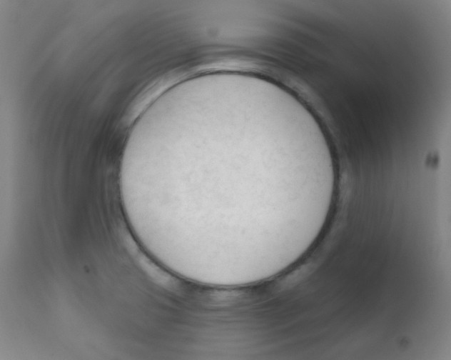 X0000111611425200908141243