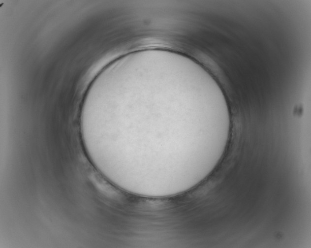 X0000111611427200908141243