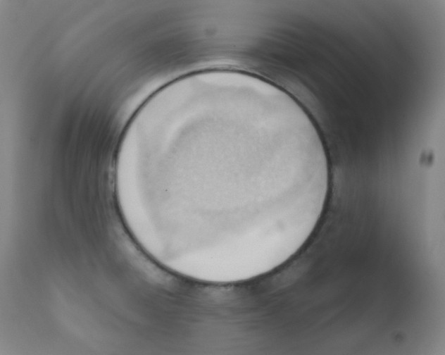 X0000111611428200908141243