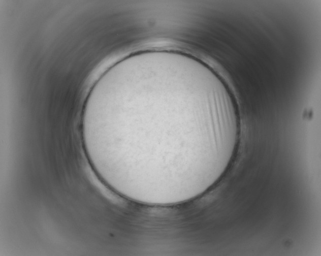 X0000111611429200908141243