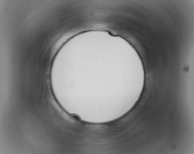 X0000111611432200908141243