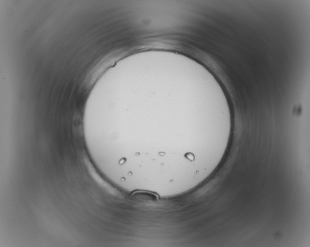 X0000111611433200908141243