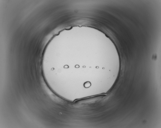 X0000111611434200908141243
