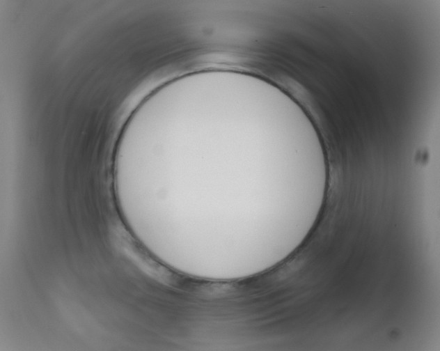 X0000111611435200908141243