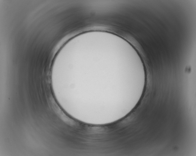 X0000111611436200908141243