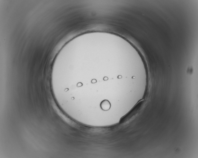 X0000111611437200908141243