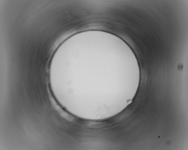 X0000111611439200908141243