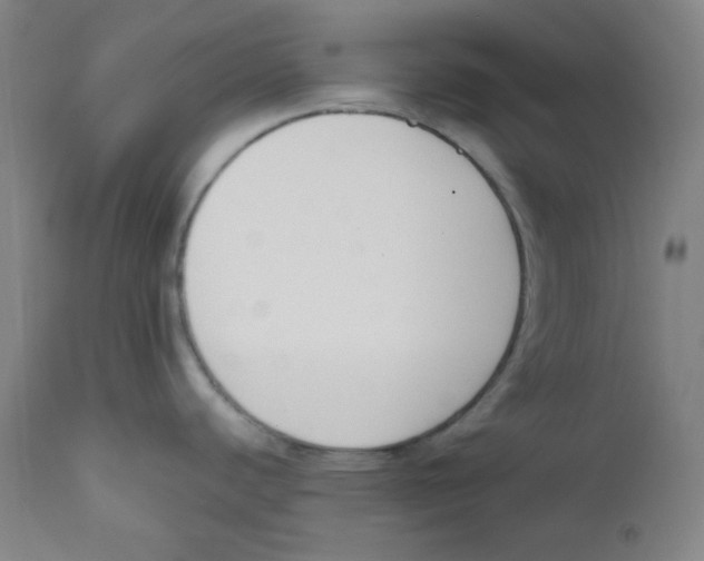X0000111611440200908141243