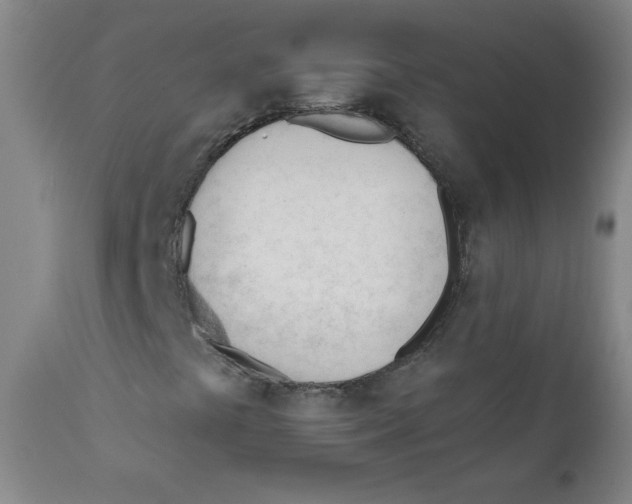 X0000111611441200908141242