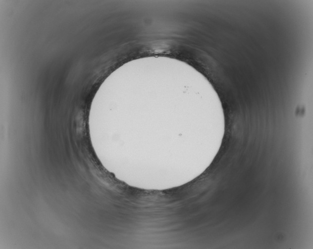 X0000111611442200908141242