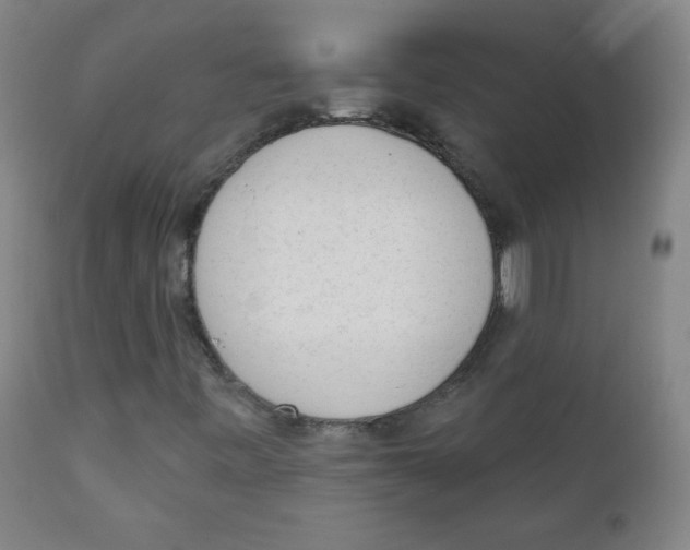 X0000111611443200908141242