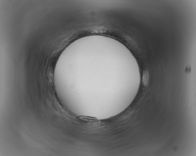 X0000111611444200908141242