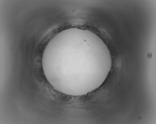 X0000111611445200908141242