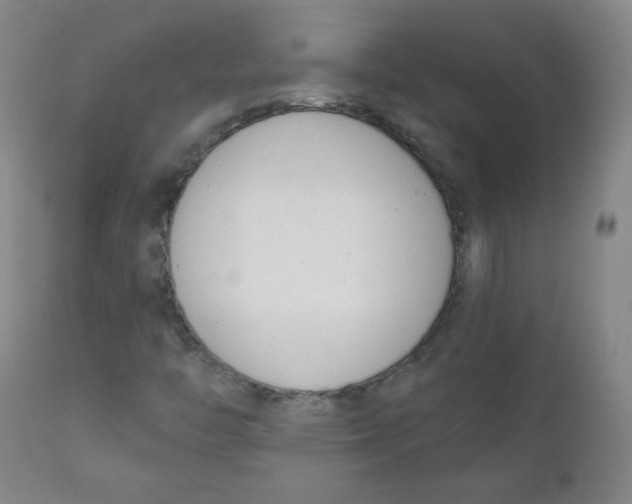 X0000111611446200908141242