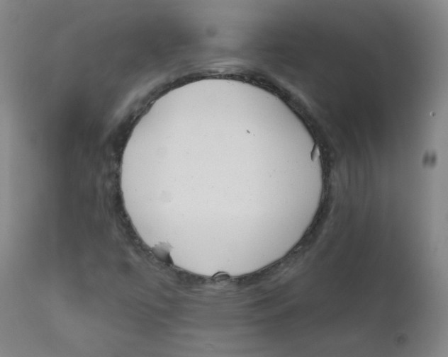 X0000111611447200908141242