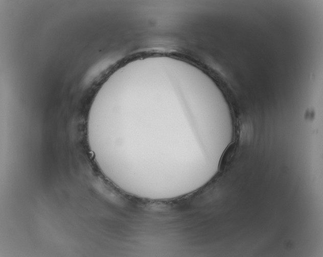 X0000111611448200908141242