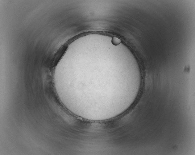 X0000111611449200908141242