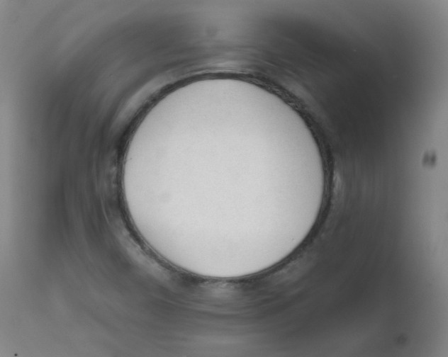 X0000111611450200908141242