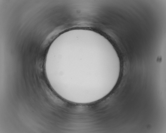 X0000111611451200908141242