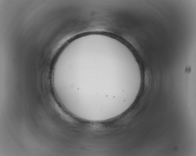 X0000111611452200908141242