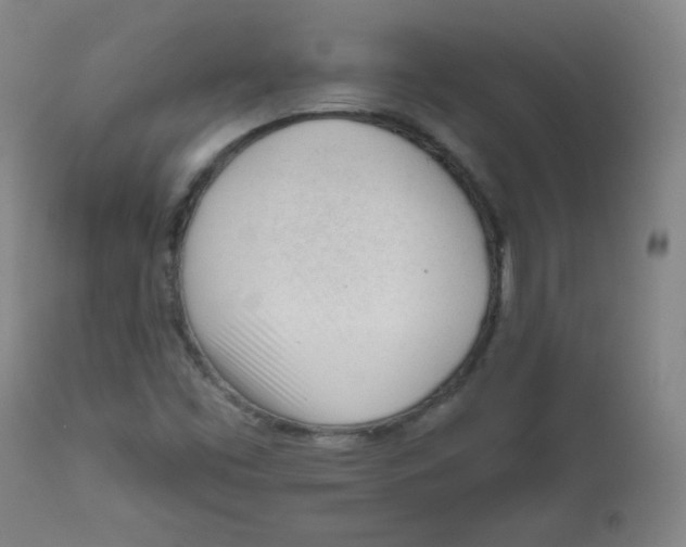 X0000111611453200908141242