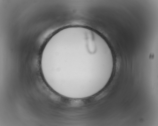 X0000111611454200908141242