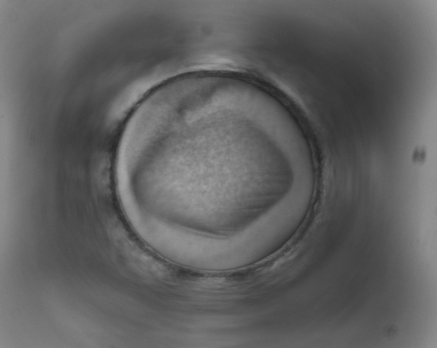 X0000111611455200908141242