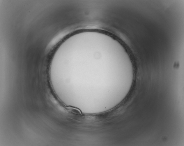 X0000111611456200908141242