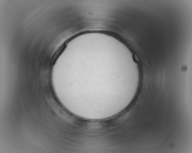 X0000111611457200908141242